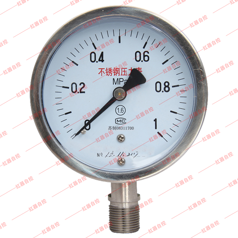 防腐压力表